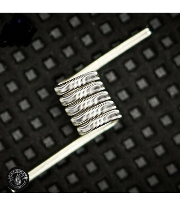 RBMK 0.45ohm Chernobyl 2 uds  - CHARROCOILS