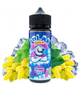 Grape Ice 100ml - Polar Juice