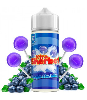 Bangin Blueberry 100ml - Xtra Sherbet