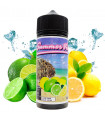 Lemon Lime 100ml - Summer Vice