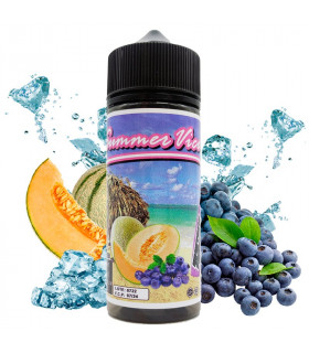 Honeydew Blueberry 100ml - Summer Vice