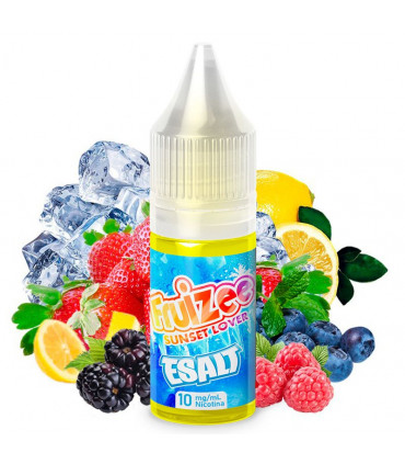 Sunset Lover 10ml - Fruizee Esalt