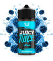 Blue Raz 100ml - Juicy Juice