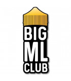 BIG ML CLUB