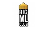 BIG ML CLUB